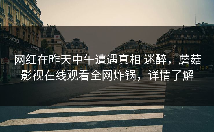 网红在昨天中午遭遇真相 迷醉，蘑菇影视在线观看全网炸锅，详情了解