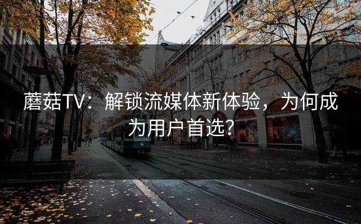 蘑菇TV:解锁流媒体新体验,为何成为用户首选? 蘑菇TV:解锁流媒体新体验,为何成为用户首选?