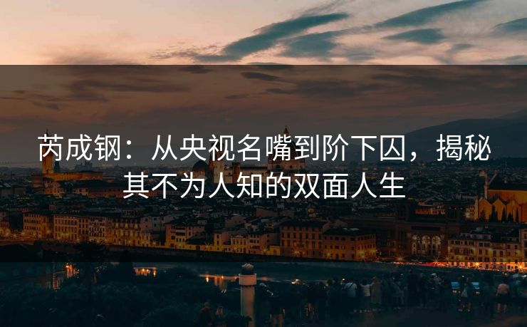 芮成钢:从央视名嘴到阶下囚,揭秘其不为人知的双面人生 芮成钢:从央视名嘴到阶下囚,揭秘其不为人知的双面人生