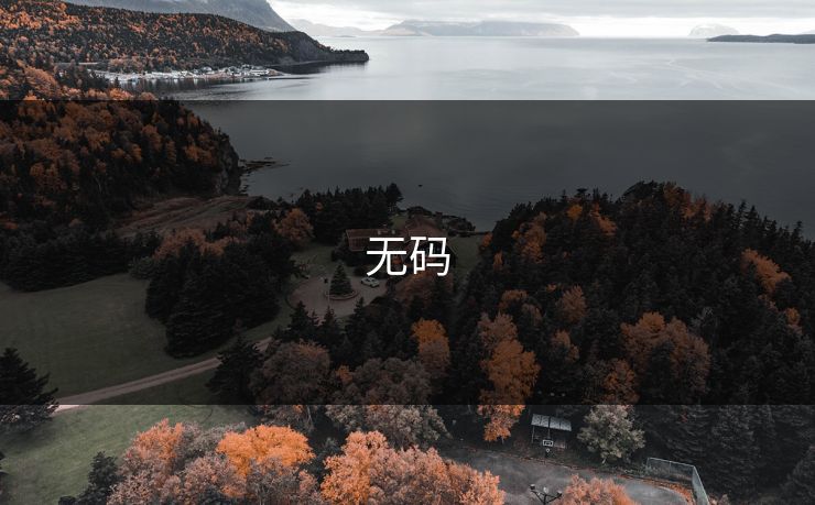 无码