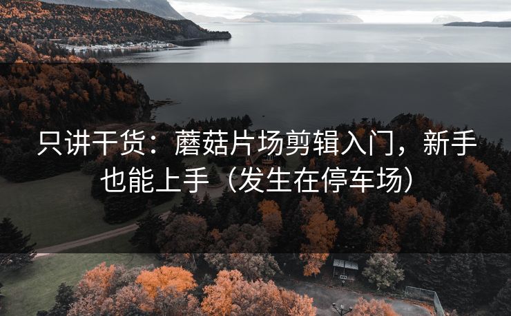 只讲干货：蘑菇片场剪辑入门，新手也能上手（发生在停车场）